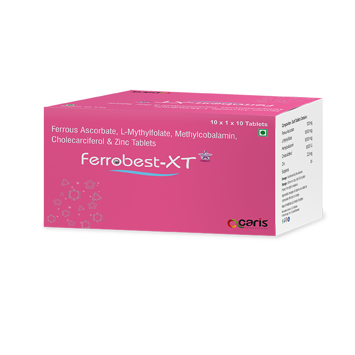 Ferrobest-xt 10x1x10